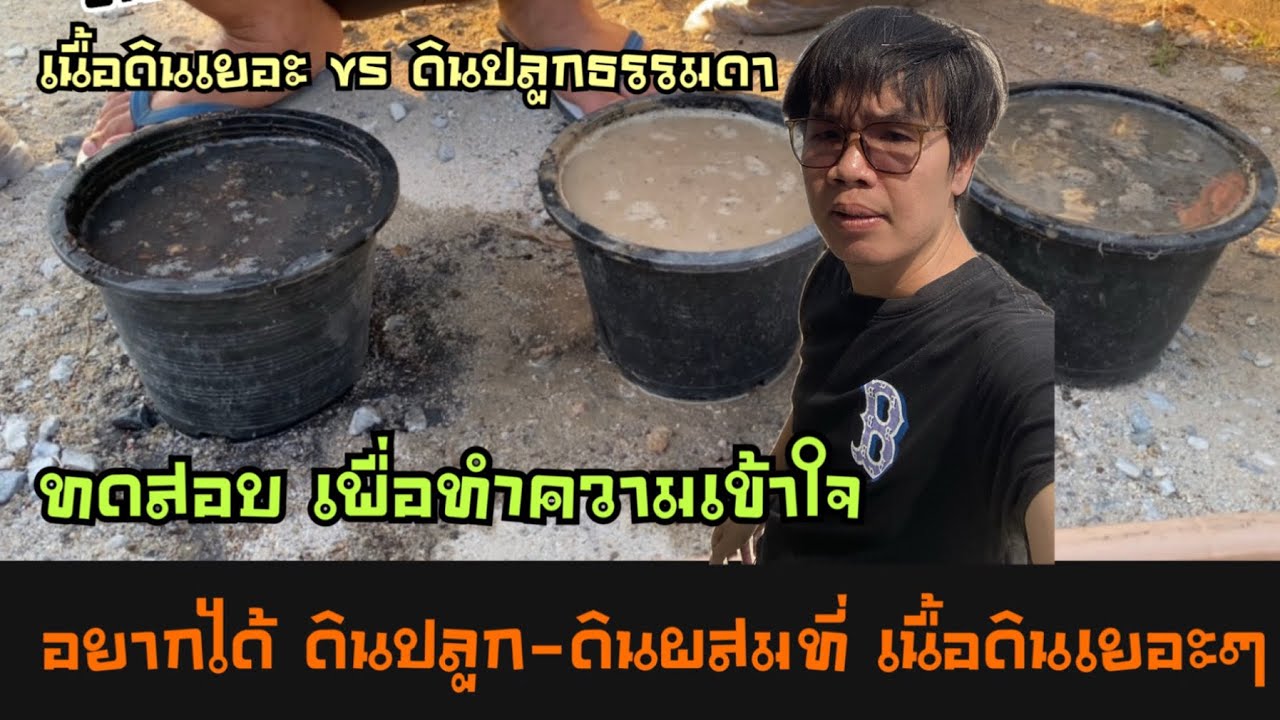 ดินปลูก-ดินผสม การใส่เนื้อดินเยอะๆ มีข้อดีข้อเสีย อย้างไร?