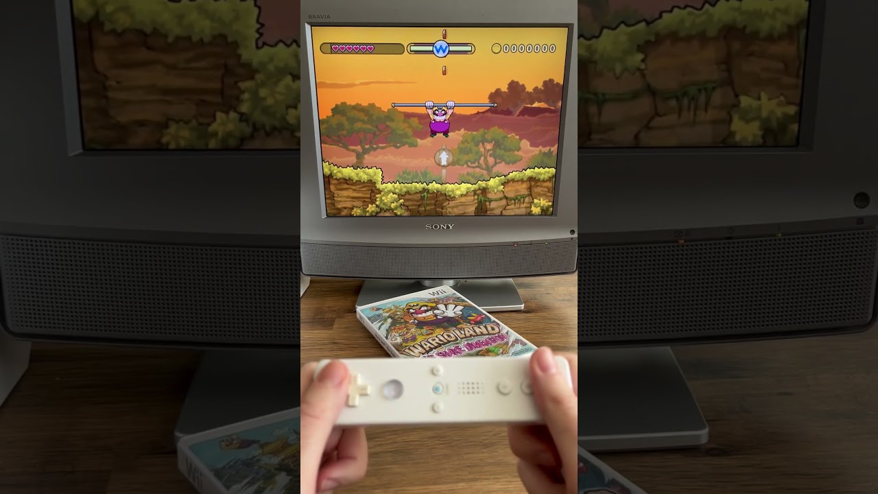 Amazing animation of Wario Land Shake it!