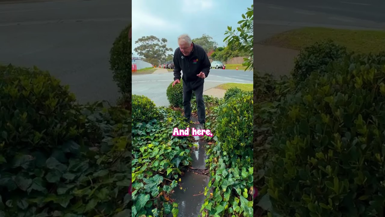 🌿 ЭТО СОЧЕТАНИЕ ПРОСТО ИДЕАЛЬНО. 👌