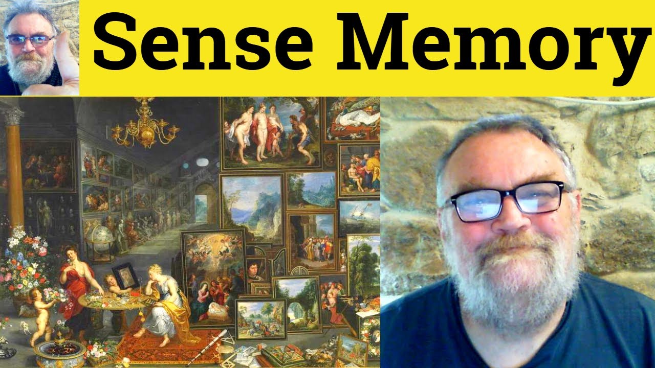 😎Sense Memory Meaning - Sense Memory Definition - Sense Memory Defined - Sense Memory - Sense Memory