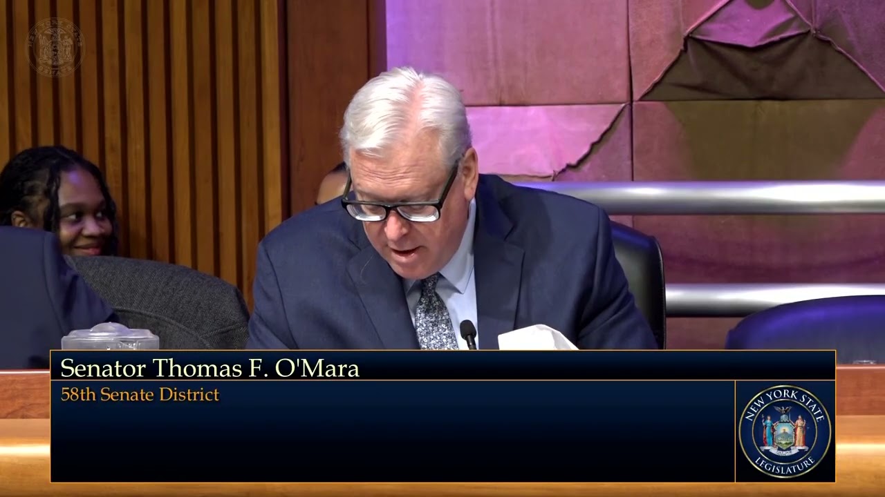 O'Mara questions health budget panel: nursing shortage, CDPAP, prescription drug costs, Lyme disease