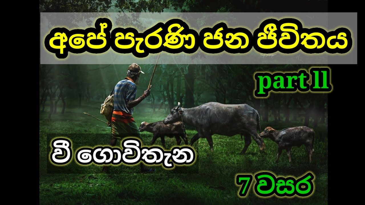 grade 7 history sinhala medium| 7 වසර ඉතිහාසය| 1පාඩම | history grade 7 sinhala medium| lesson1|part2
