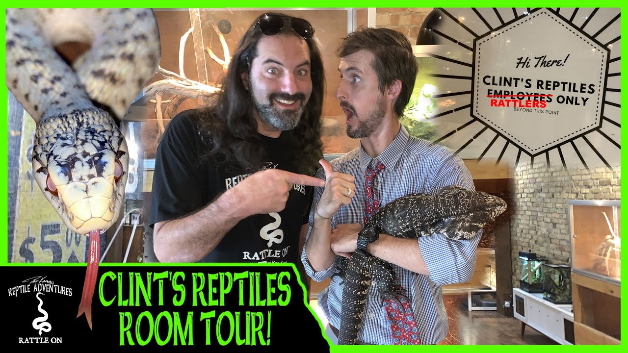 CLINT’S REPTILES ROOM TOUR! (Collab with Clint’s Reptiles, Brian Kusko, and Garrett Hartle)