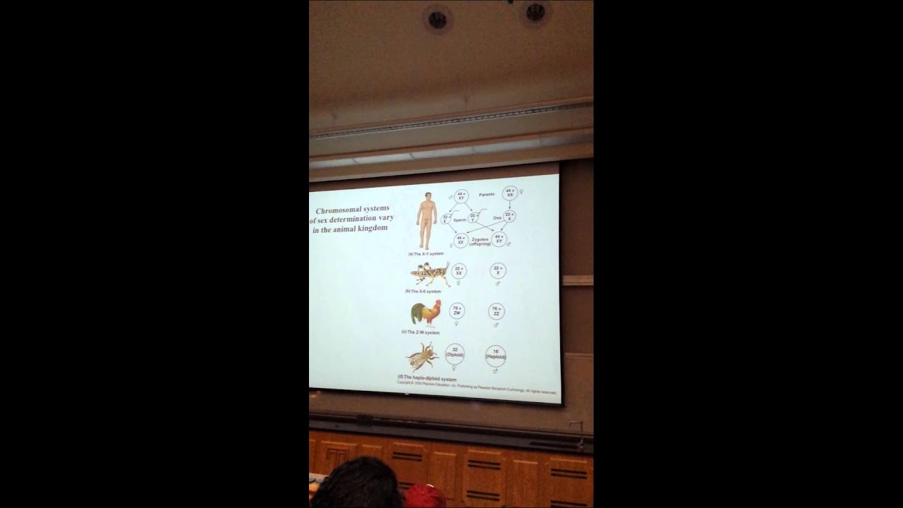 Lecture 31 Part 2