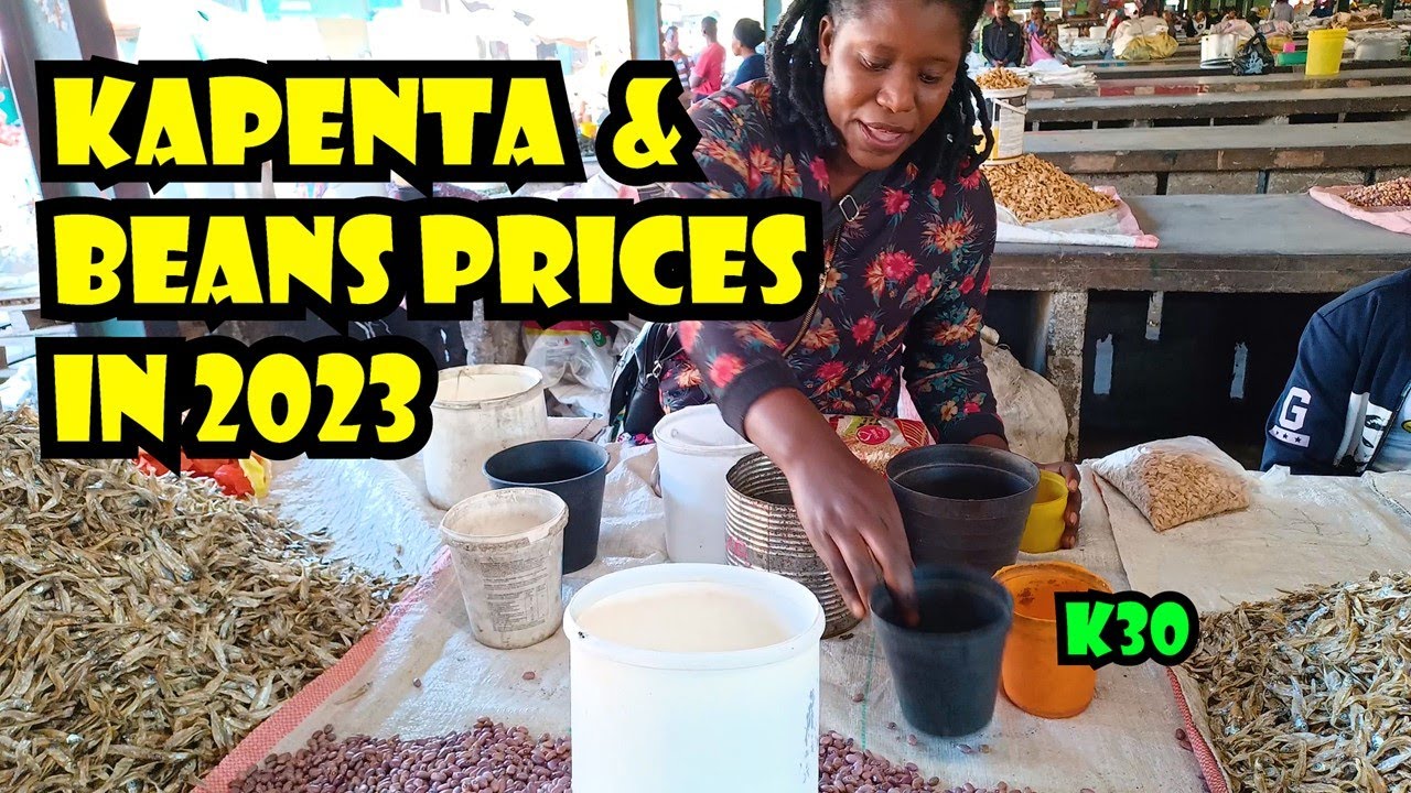ZAMBIA - Kapenta & Beans Prices in 2023 HD (Extract)
