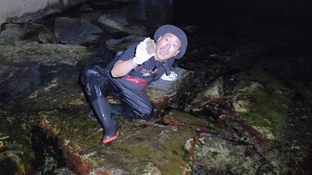 혼자 밤에 잡은 비싼 생물들로 라온이 밥을 만들어 먹여보자!