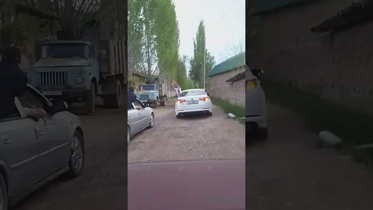 шерони  нушор кубока  овардан