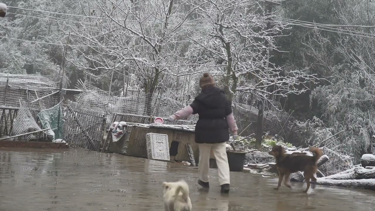 阿英在大山上的生活，不管天气怎么变化，还是要家里的鸡鸭喂饱 #乡村生活日常 #生态散养 #土鸡 #我的农村生活 #重庆阿英
