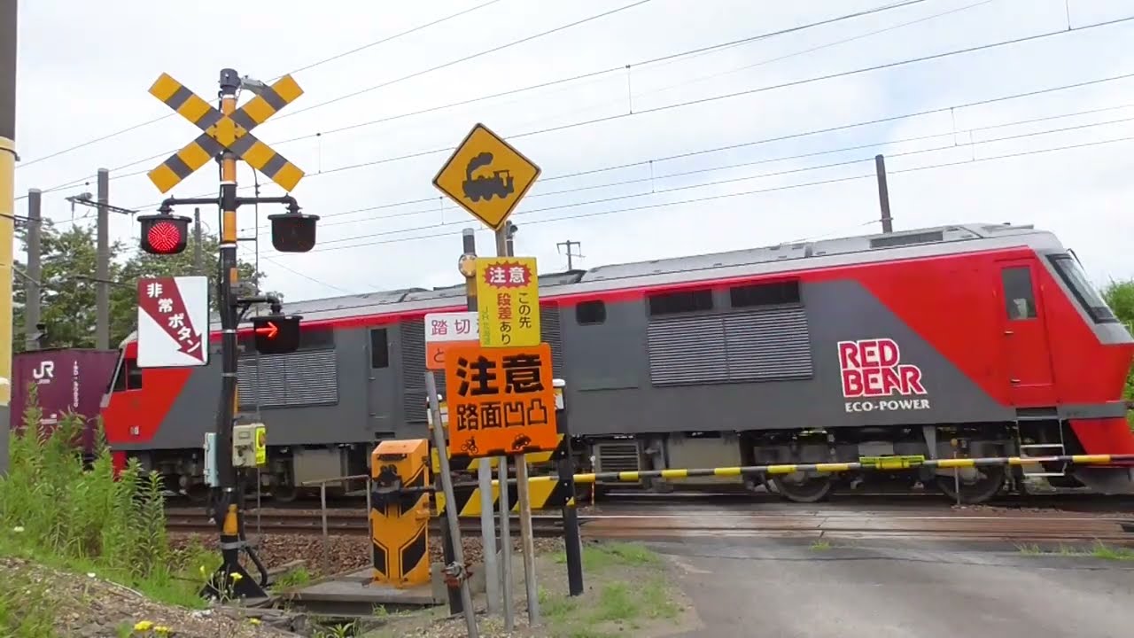 【踏切カンカン】いろんな踏切 【電車】