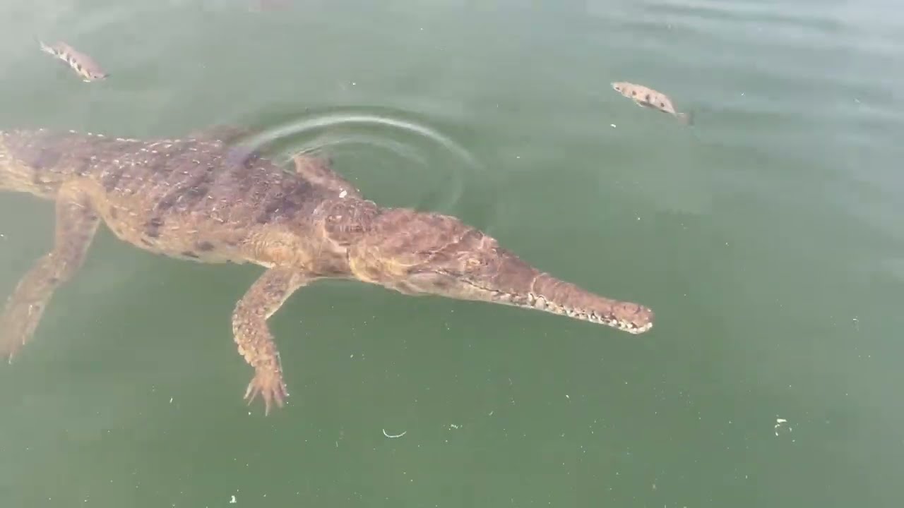Lake Argyle WA 🇦🇺 Jul 23