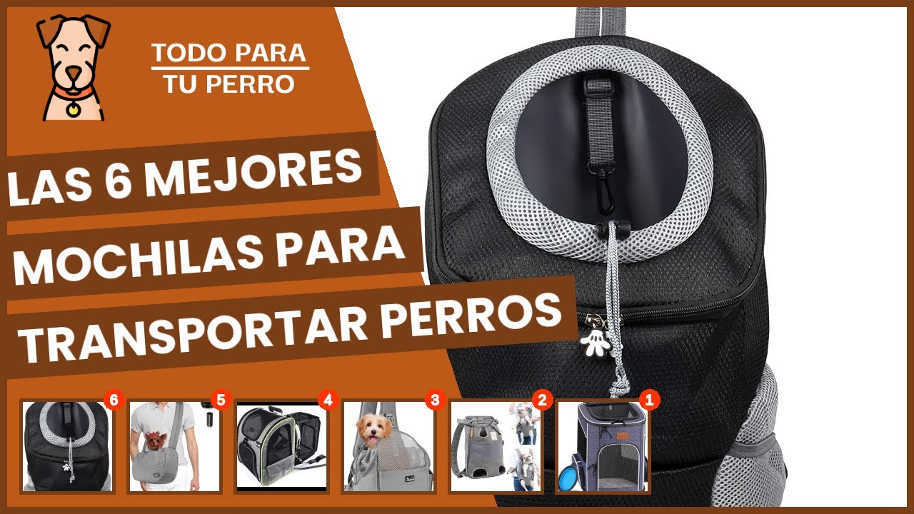 Las 6 mejores mochilas para transportar perros