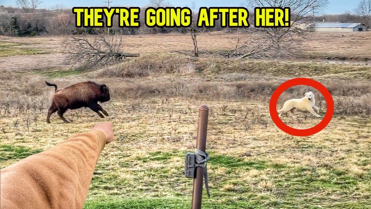 Пришло время расстаться!