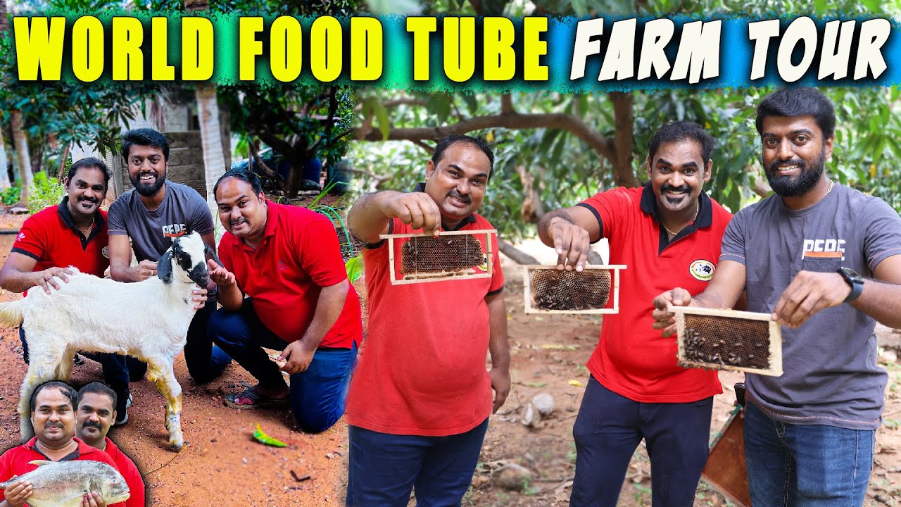 Coimbatore's Evergreen FARM TOUR 😍 Unlimited Fun 🤣 @worldfoodtube | DAN JR VLOGS
