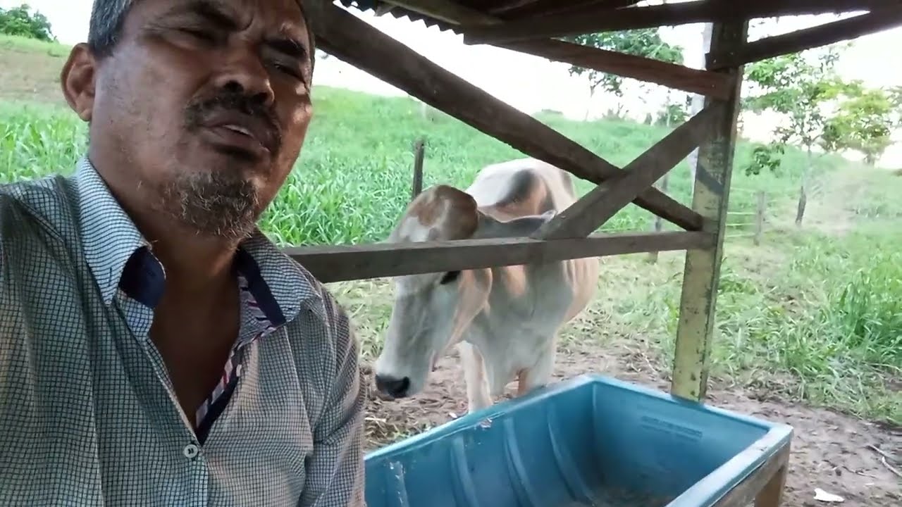 boniteza não importa, importante e fucionar