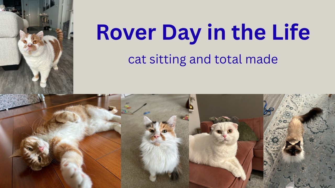 Rover Day in my Life