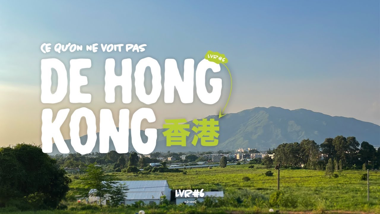 On s'est fait arnaquer... | LVR #6