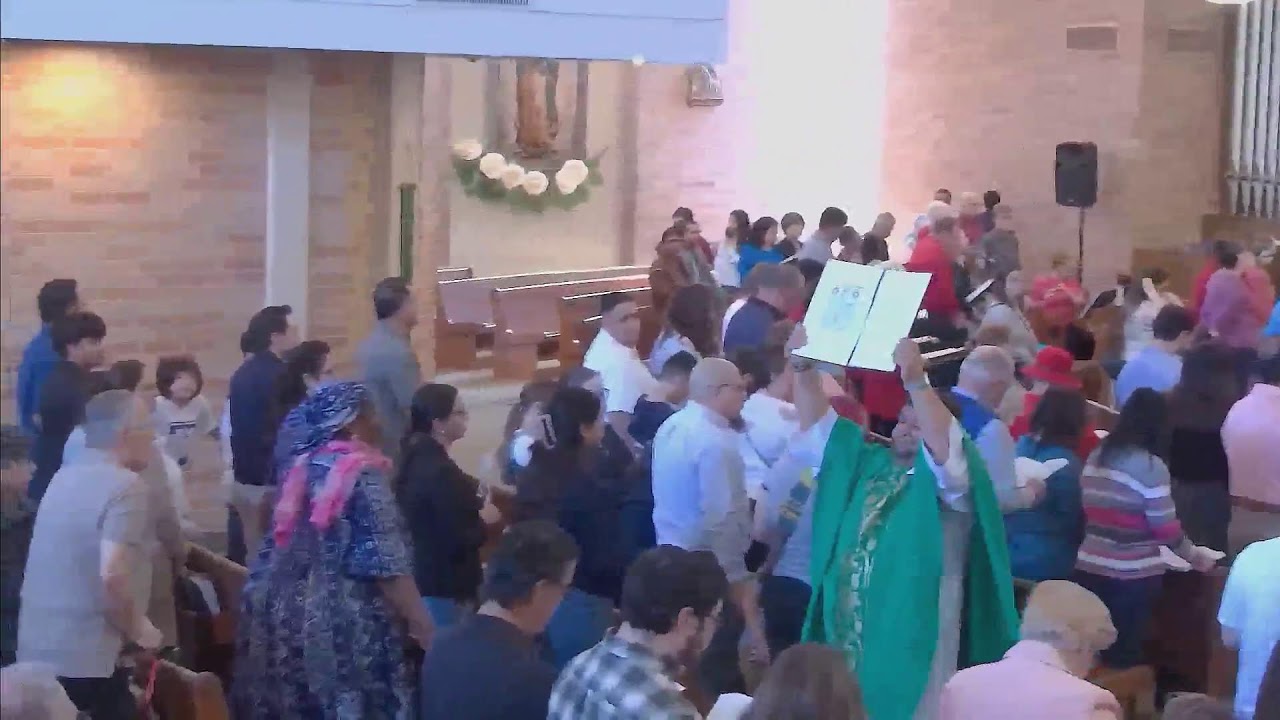 St. Luke Catholic Church Live Stream