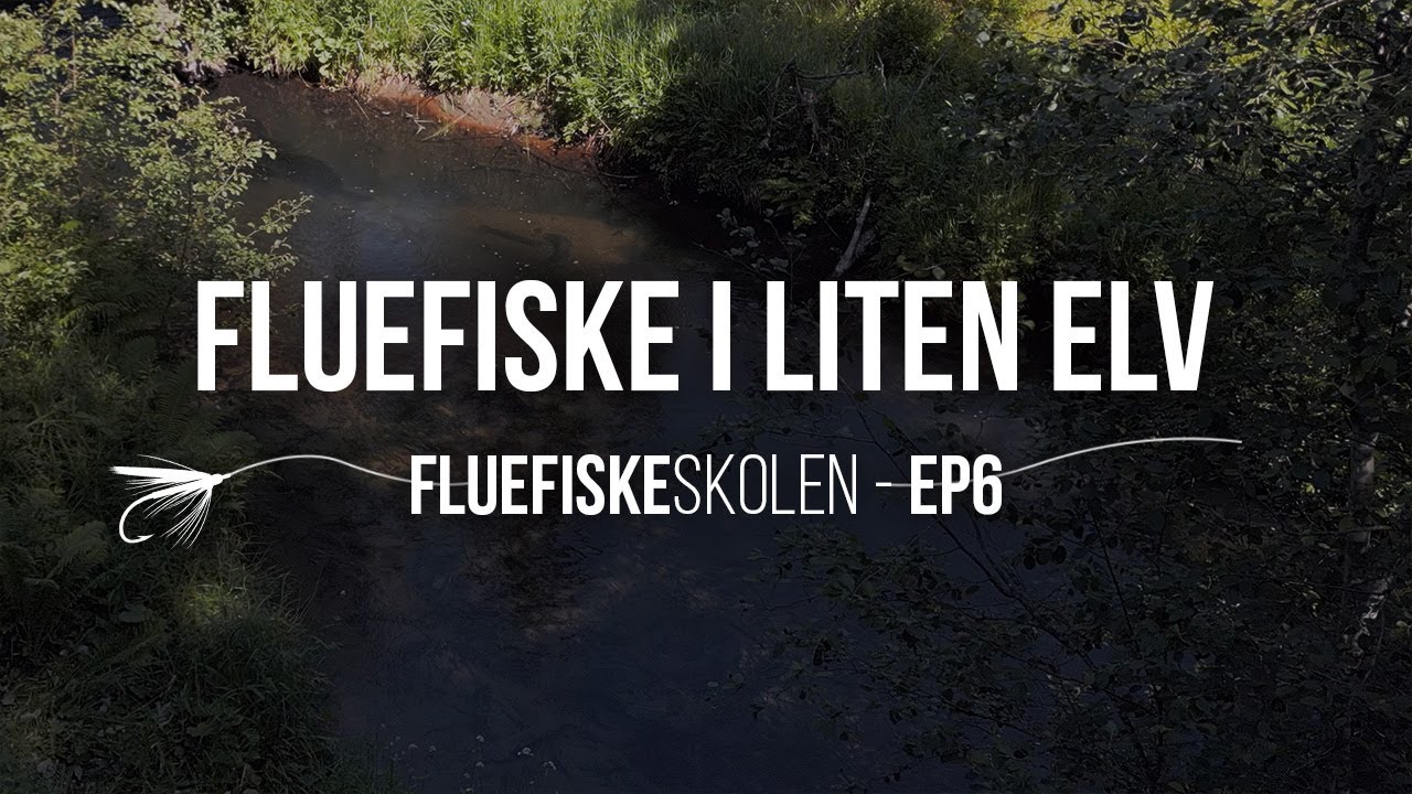Fluefiske i liten elv og bekk - Fluefiskeskolen Ep6