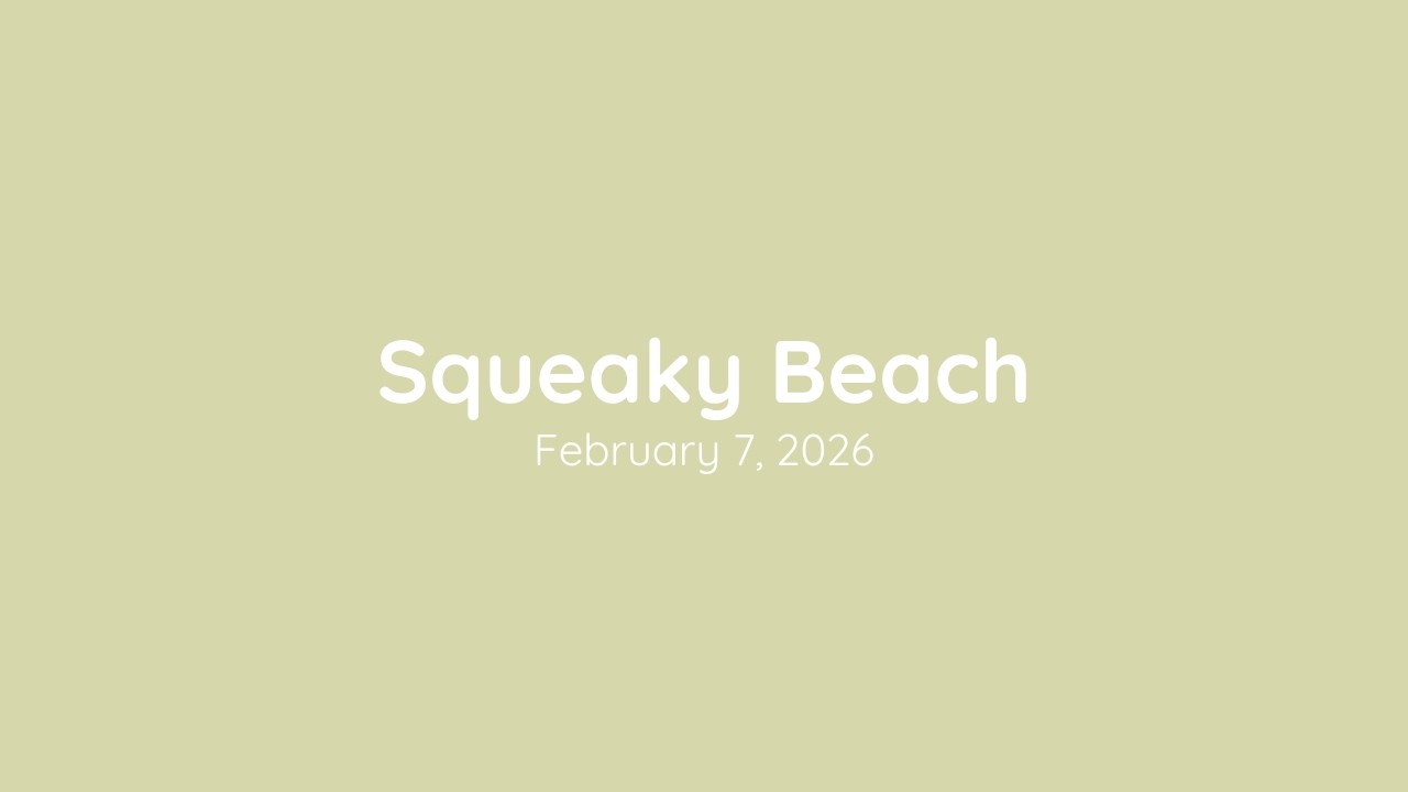 Squeaky Beach