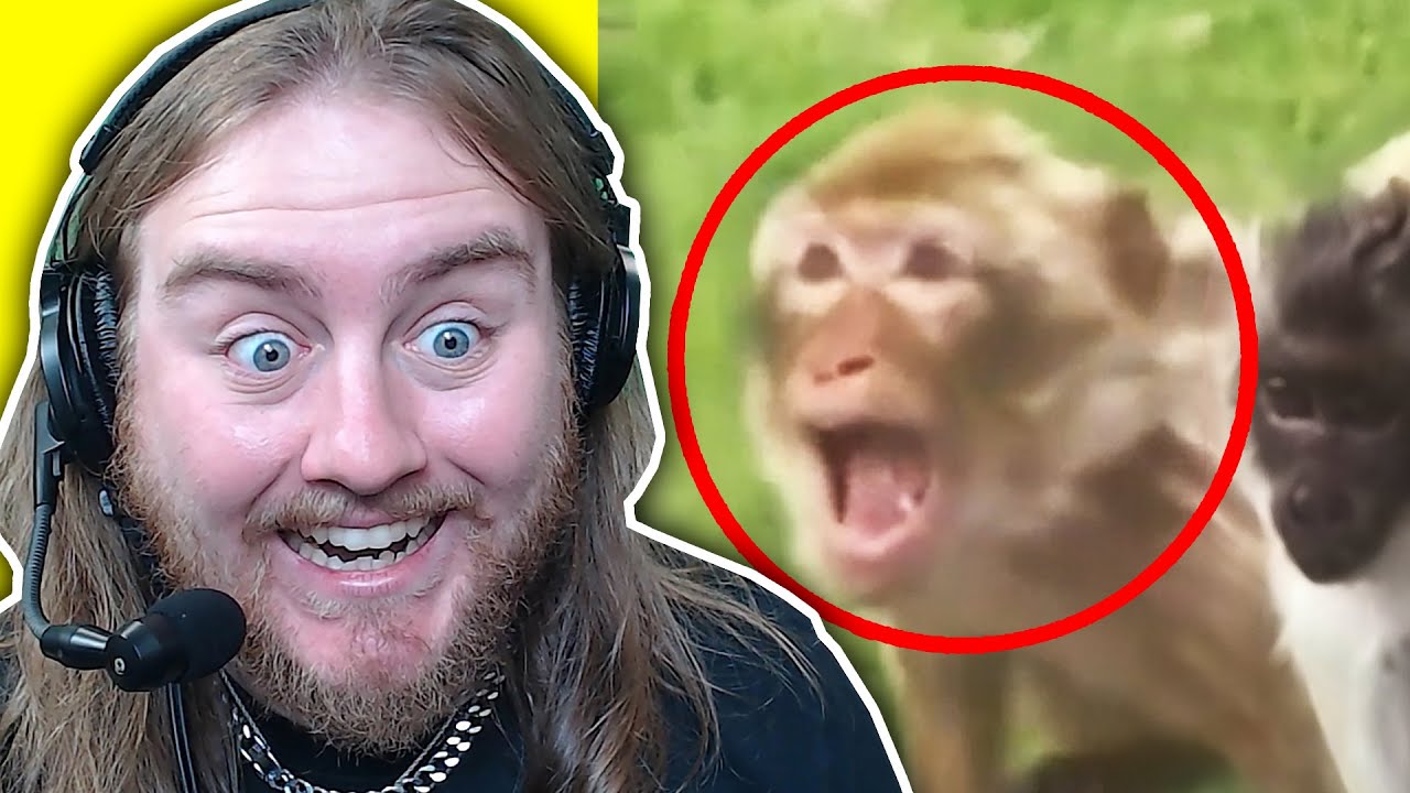 HILARIOUS CRINGE FAILS... these are bad...