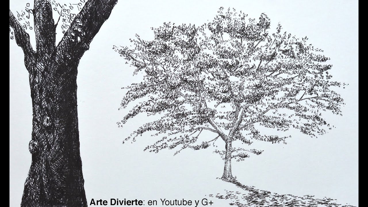 Dibujando árboles: cómo dibujar un roble con marcadores - Arte Divierte.