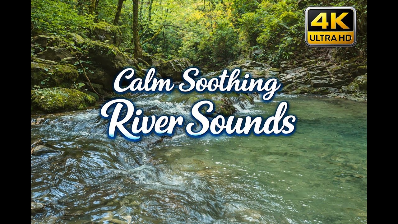 6 Hours of Relaxing River Sounds 🌊 Peaceful Water Flow for Sleep, Study & Stress Relief