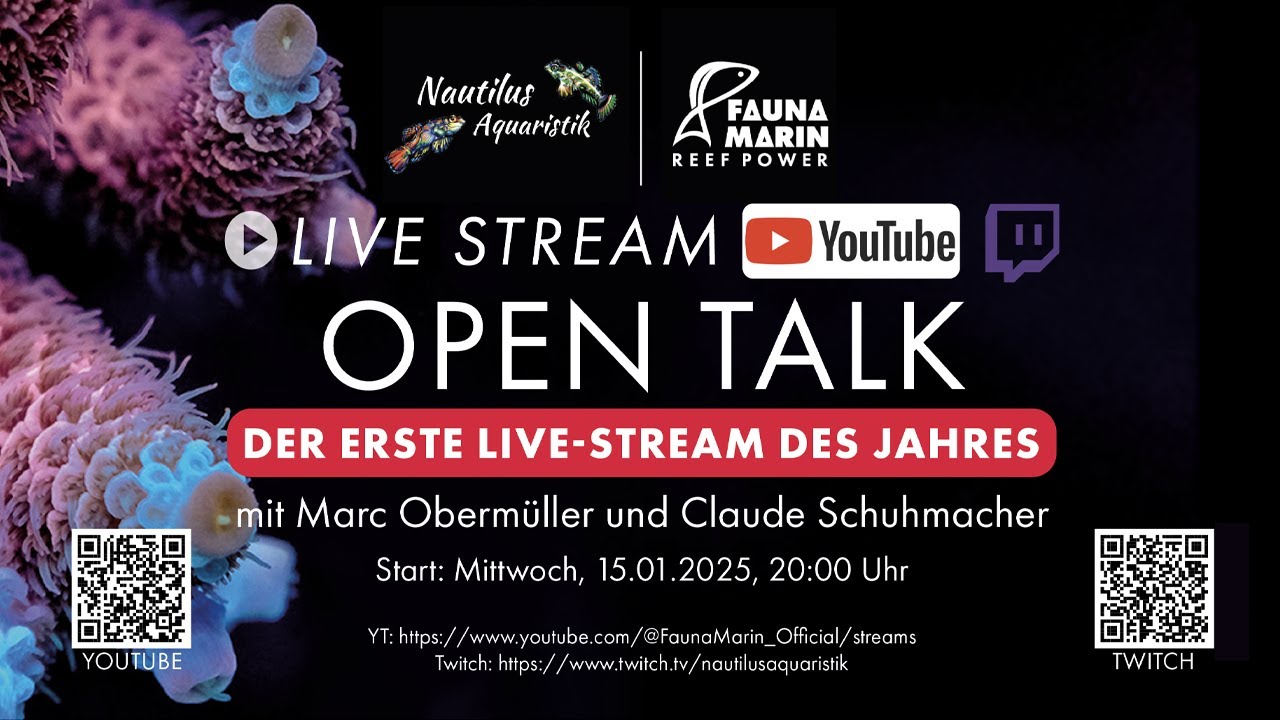 Open Talk - Der erste Live-Stream des Jahres