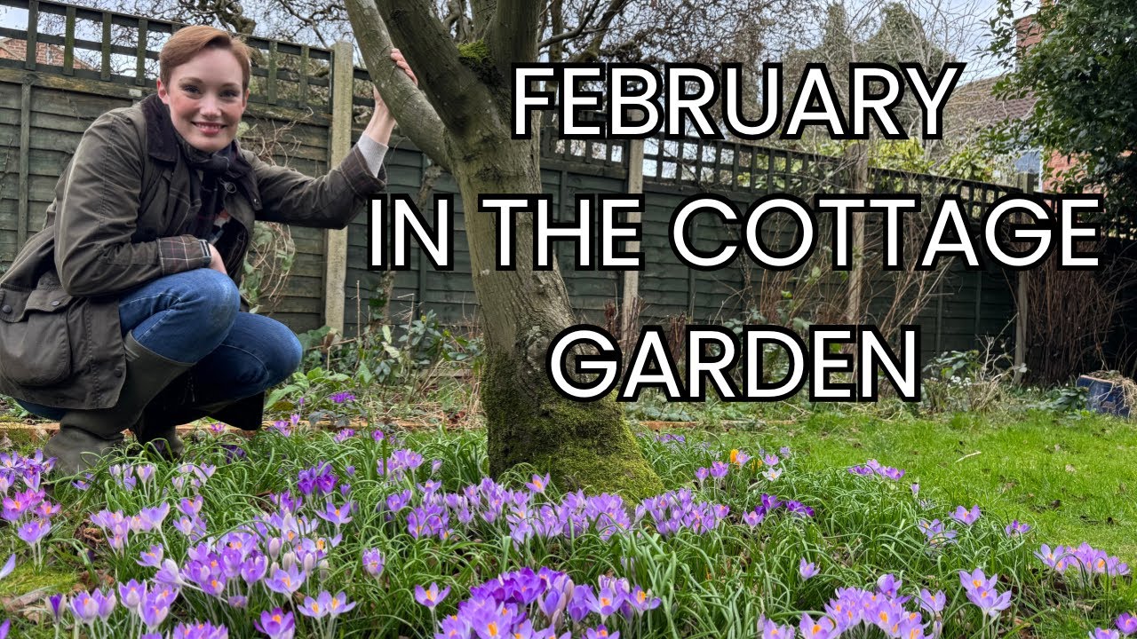 Февральская экскурсия по садам 🌱 Что происходит на самом деле