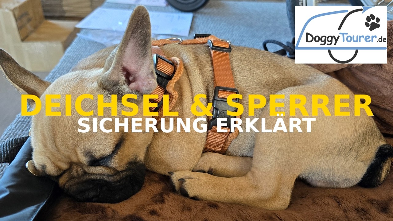 DoggyTourer Deichsel