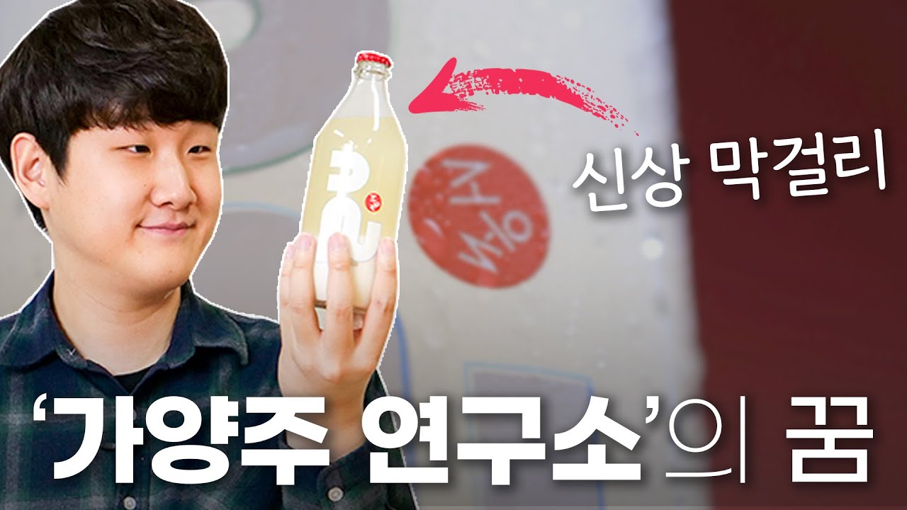 맨땅에서 일궈낸 국내 최대 전통주 교육기관의 이야기 | &lsquo;가양주연구소 & 서울 막걸리&rsquo; 리뷰