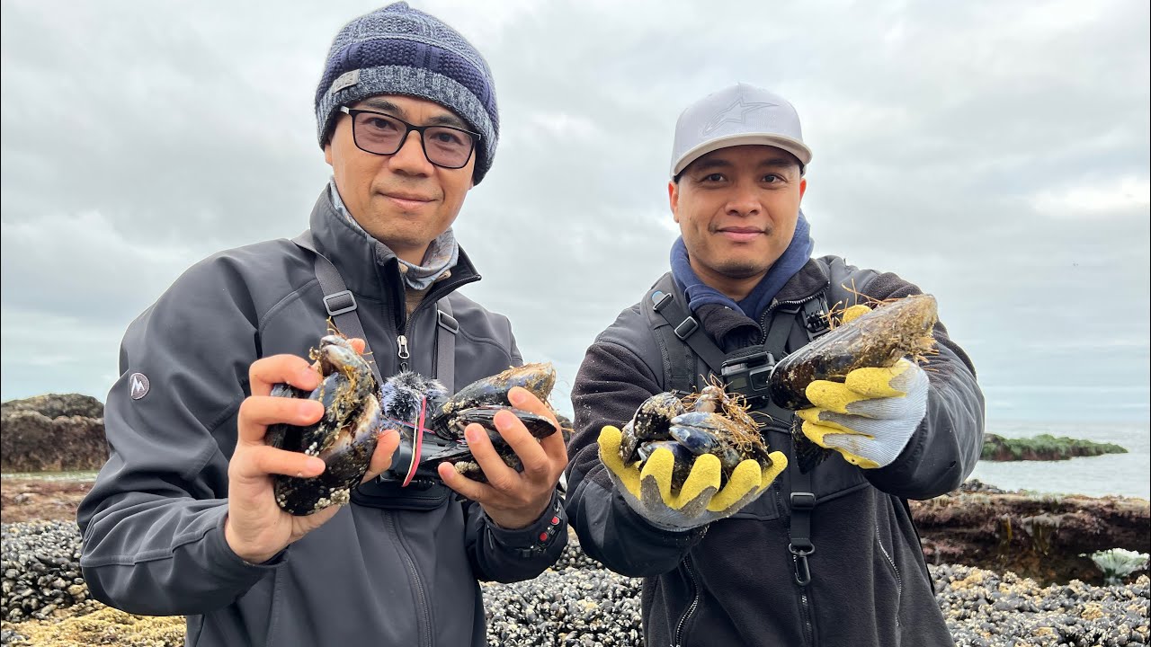 GIANT MUSSELS on The Oregon Coast! Forage and Cook With PK YI