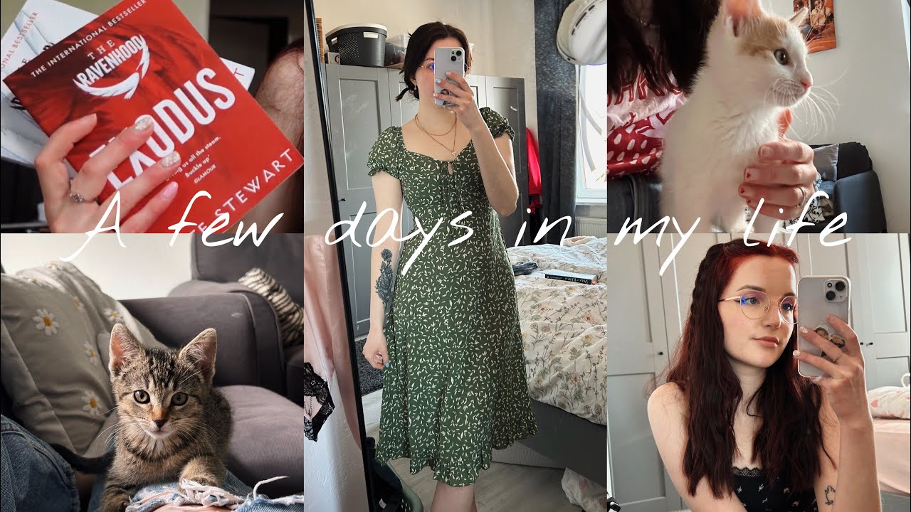 Neue Haarfarbe, DM snack haul und die Ravenhood Reihe | a few days in my life