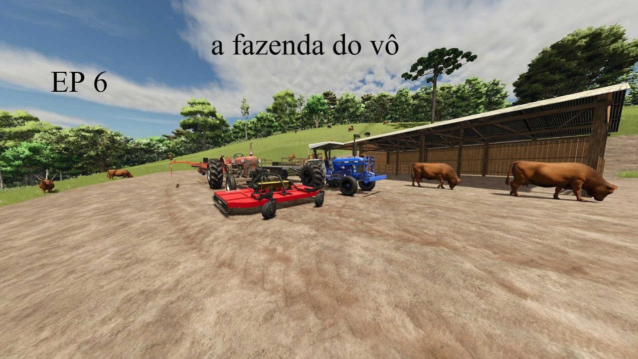 cortando a grama do potreiro para alimentar as vacas