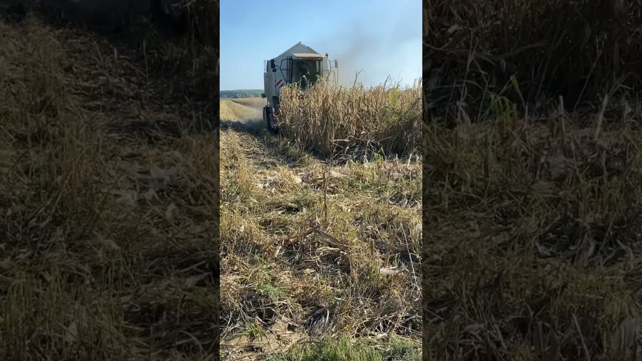 #jokerplays #harvest #shorts #shortvideo