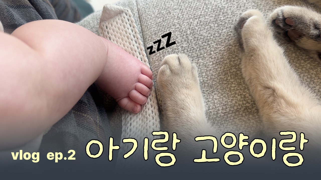 우리집 두 아기들의 일상