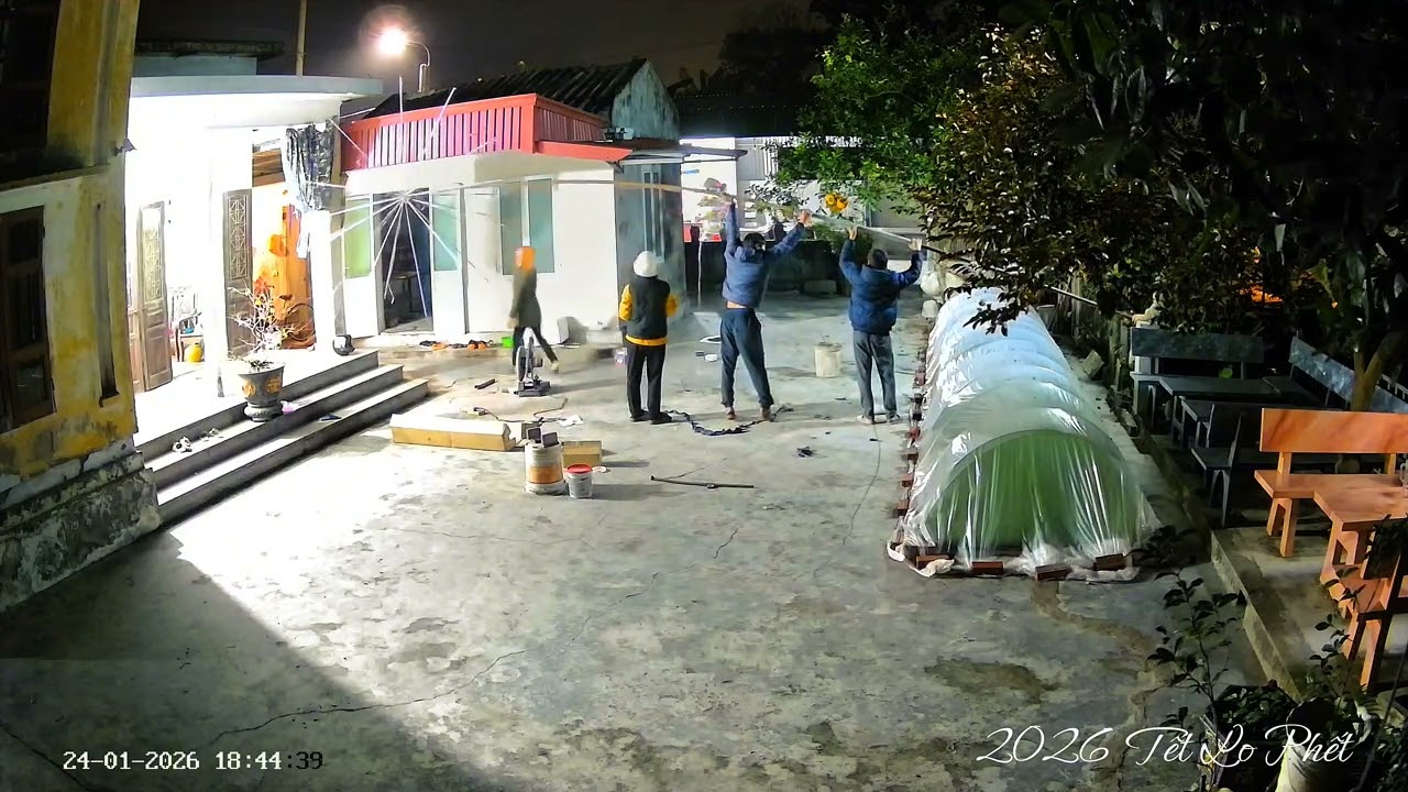 Ông bà, bác và bố mẹ Thanh trúc dựng cây pháo hoa, chuẩn bị tết 2026 nè 2