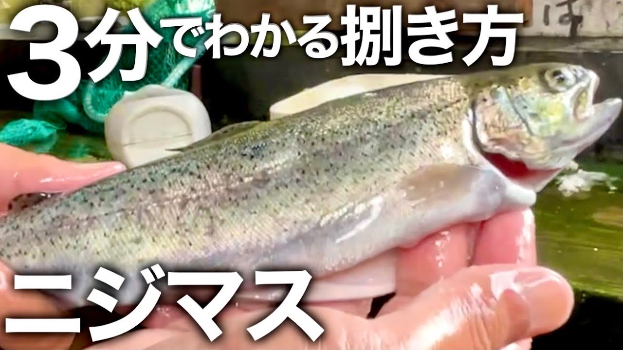 誰でも簡単3分でわかる【ニジマス】さばき方 　Rainbow trout cooking preparation