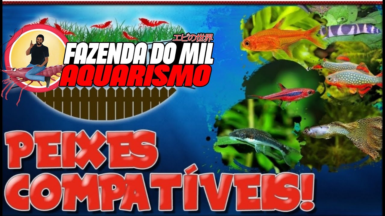 PEIXES COMPATÍVEIS