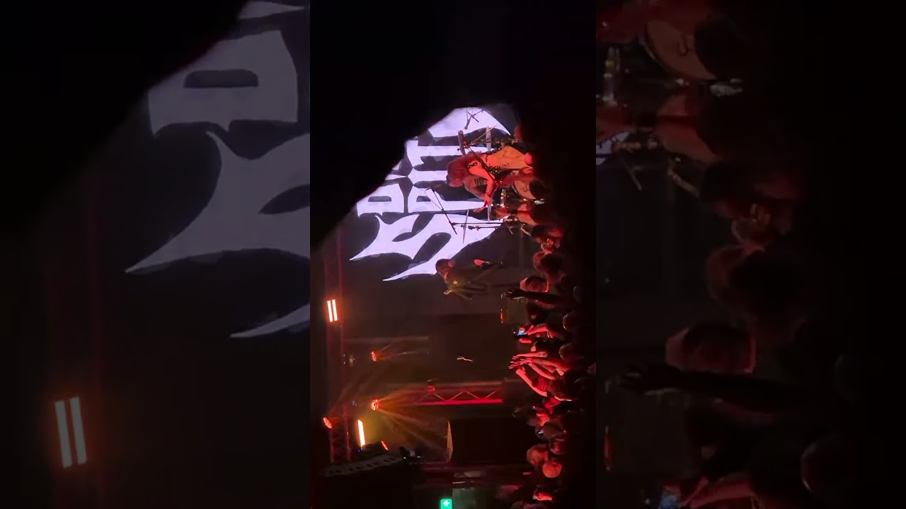 Die Spitz Manchester Gorilla 18.2.26 Part 2