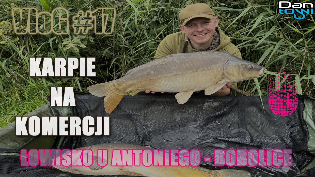 KARPIE NA KOMERCJI - ŁOWISKO U ANTONIEGO - BOBOLICE 2023 | Vlog 17
