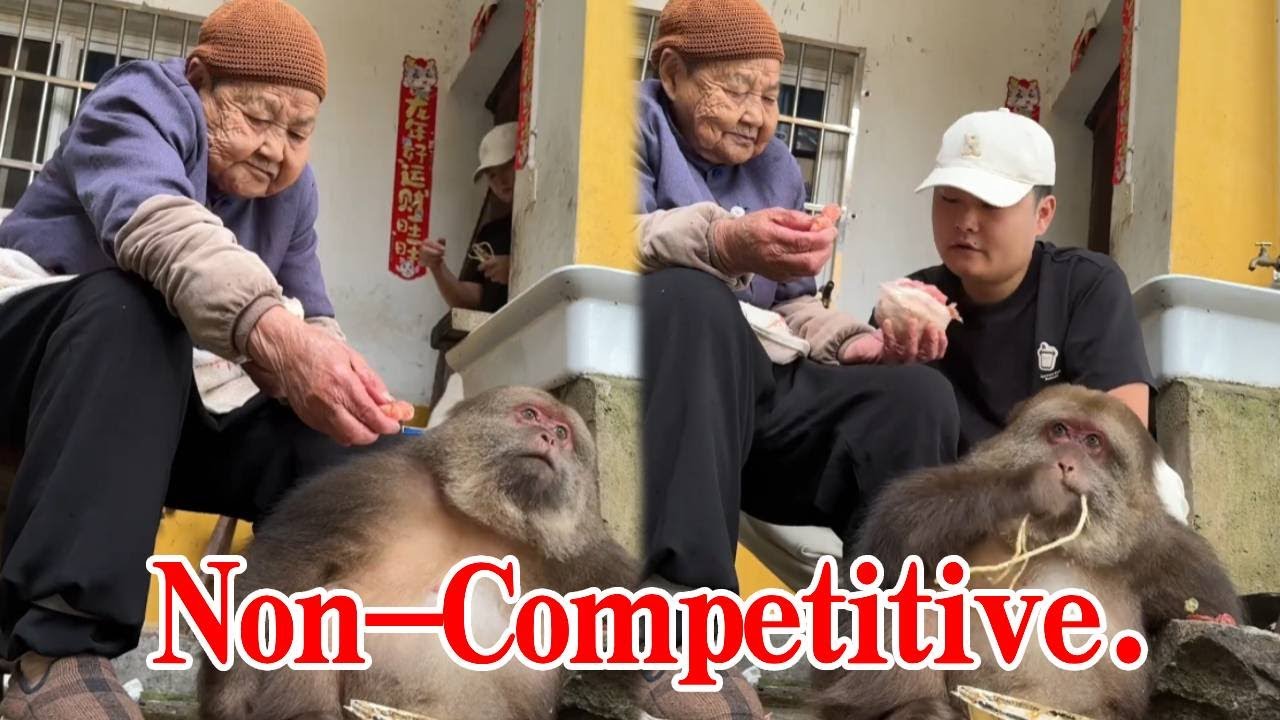 Xingxing And The Nun Together Is The Best Picture Ever!