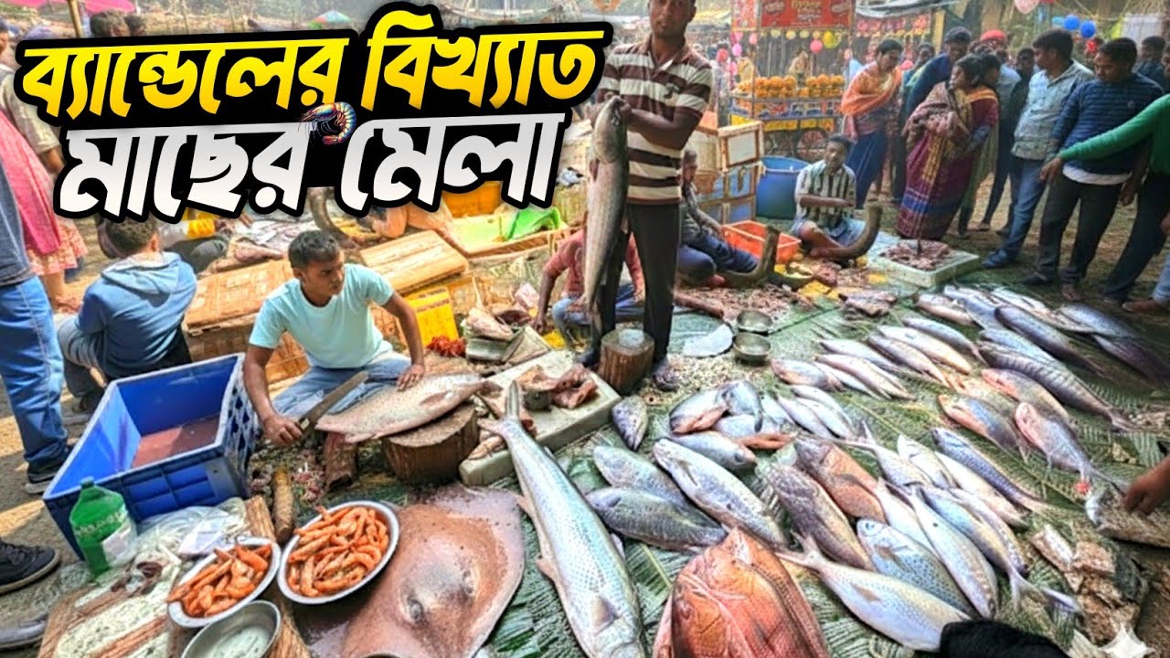 518 বছর পুরোনো জনপ্রিয় মাছের মেলা | India’s LARGEST Fish Mela! ব্যান্ডেলের মাছের মেলা 2026 || 