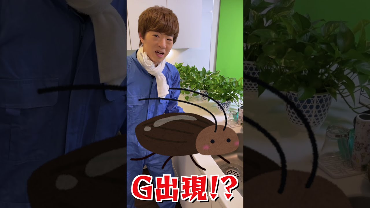 家にゴキブリが出現！？ 