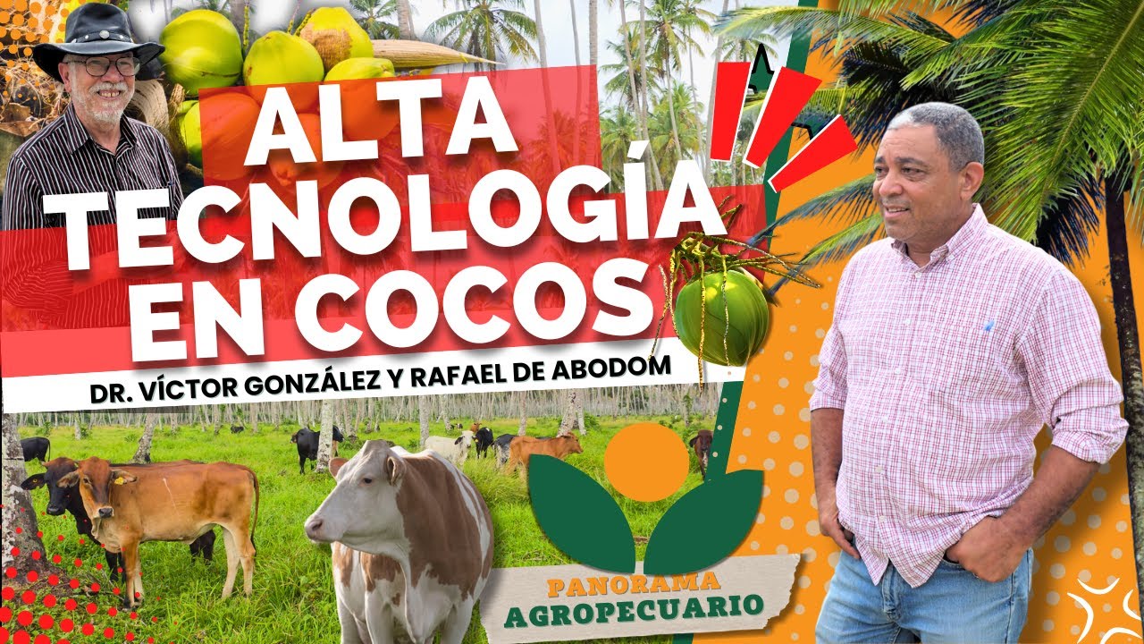 COCOS EN ZONA ANEGADA DE NAGUA | Panorama Agropecuario