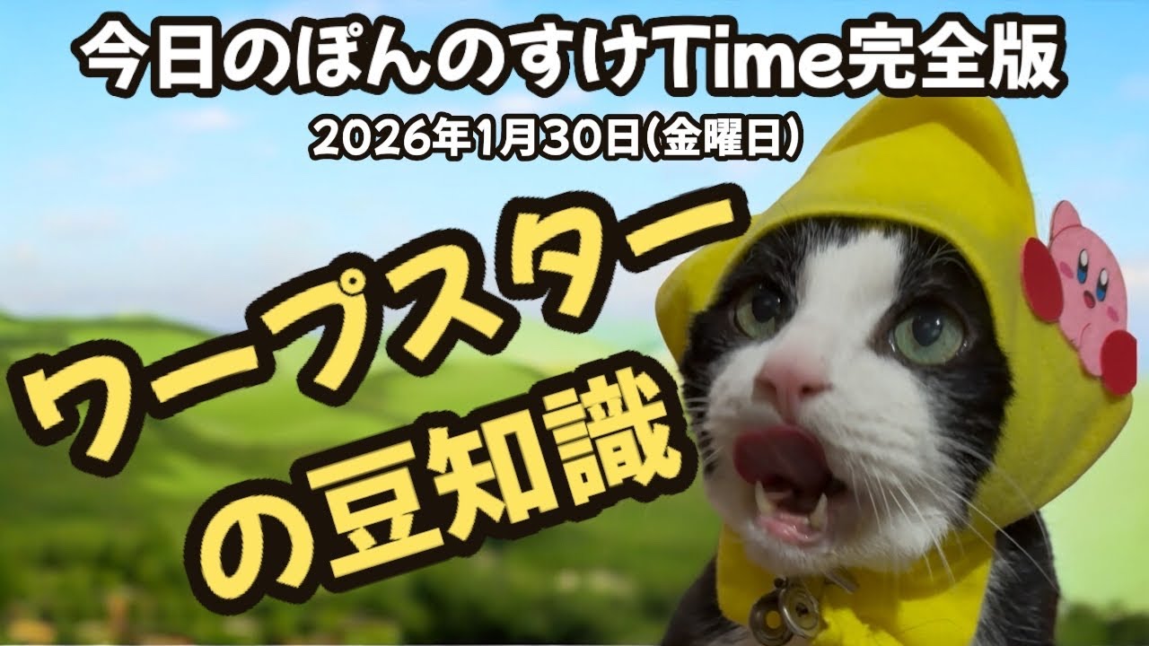 今日のぽんのすけTime完全版 2026年1月30日(金曜日) ワープスター(星のカービィ) #cat #ねこ #保護猫 