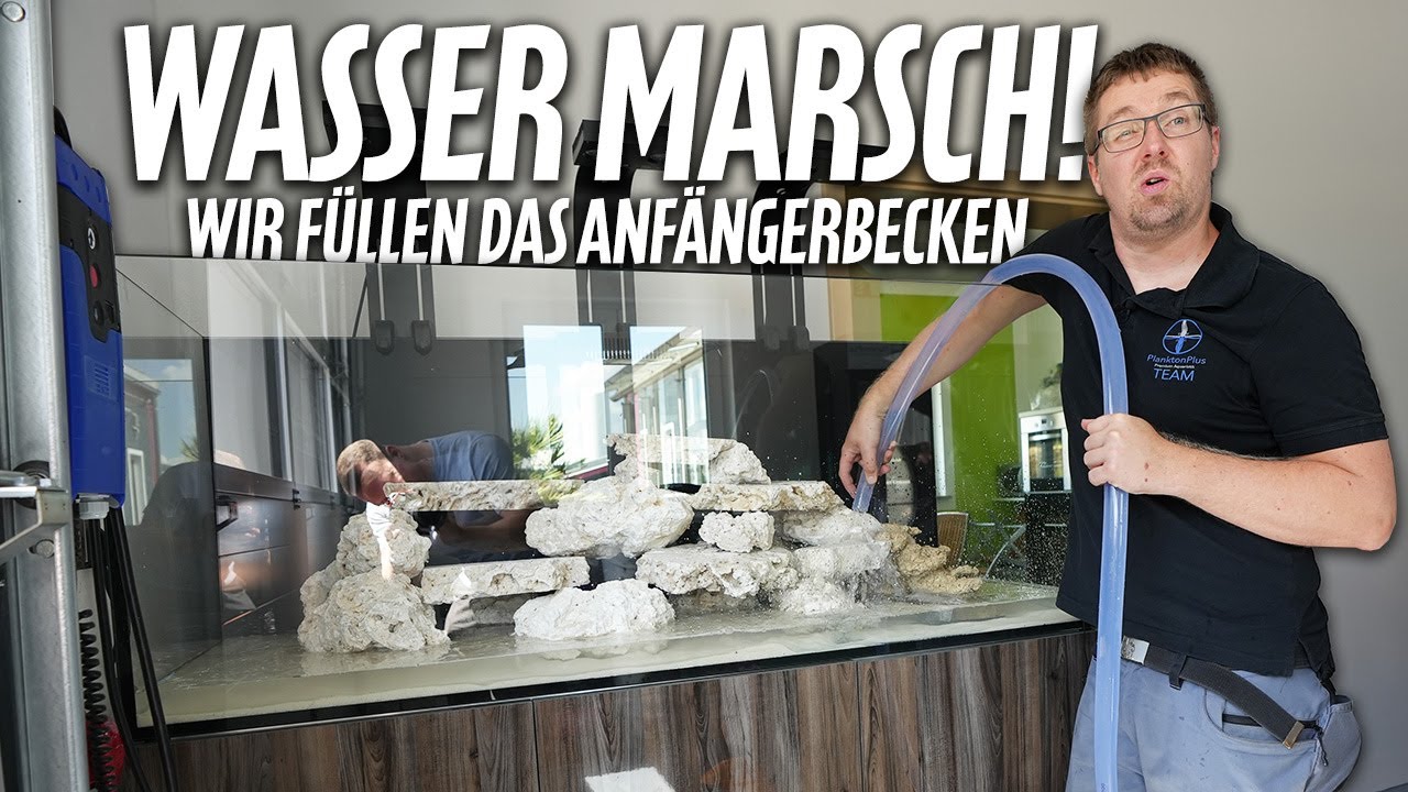 Los geht's! - SO FÜLLST DU EIN AQUARIUM