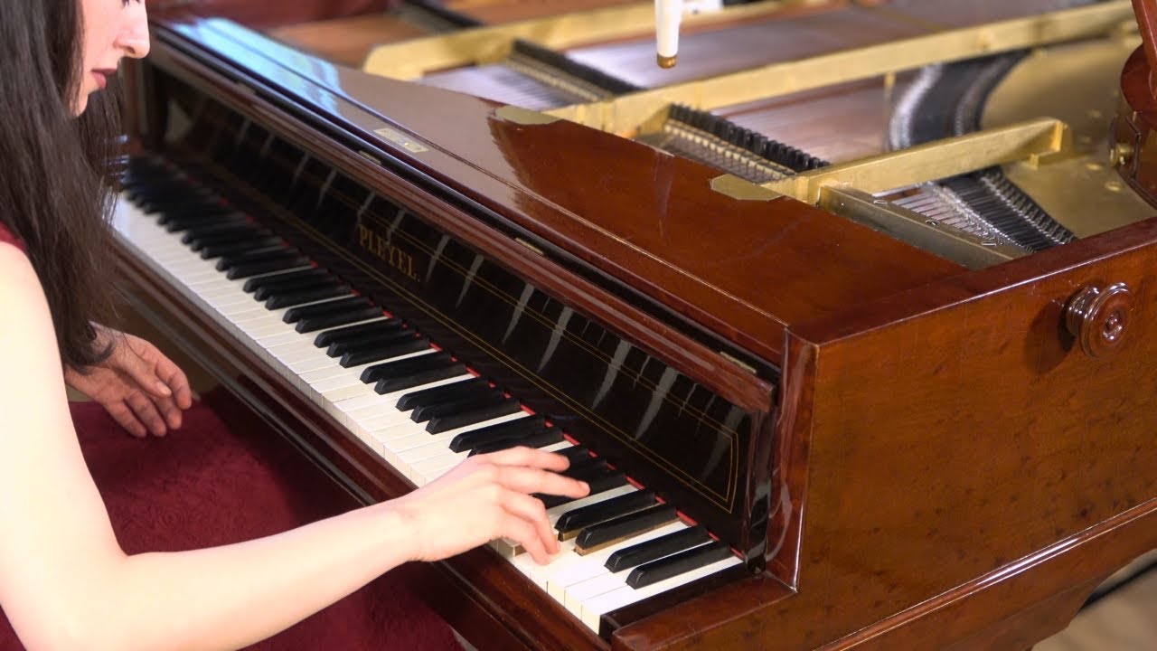 Theodora Serbanescu-Martin plays Liszt Réminiscences de Norma, S. 394 on Pleyel et Cie (1865)