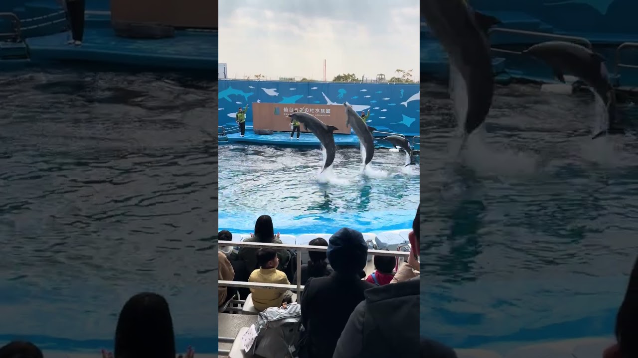 仙台うみの杜水族館