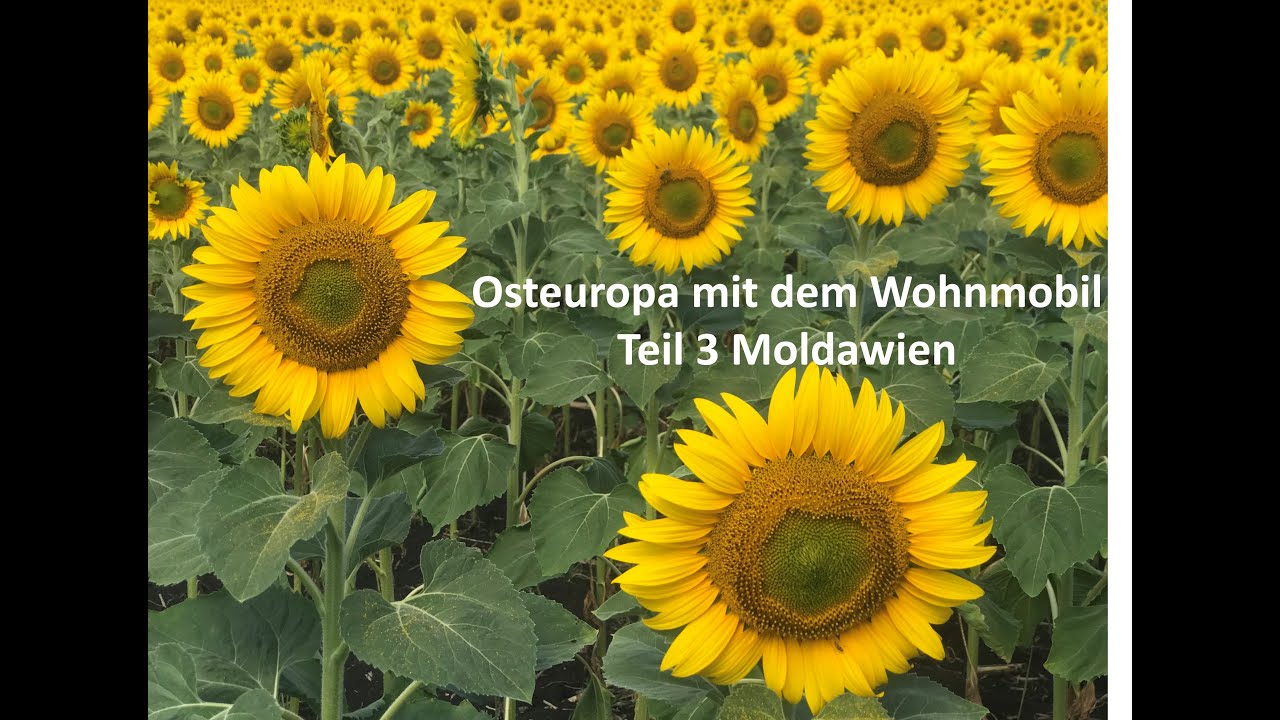 Osteuropa mit dem Wohnmobil Teil 3 Moldawien