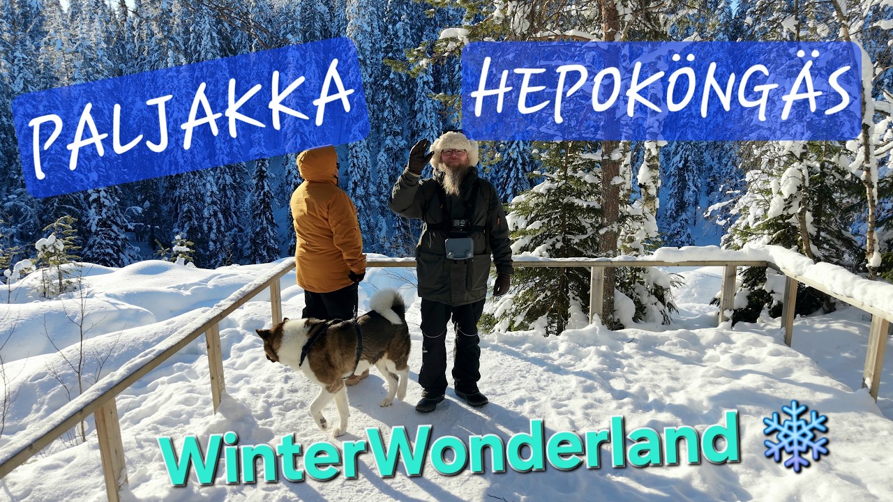 Frozen Beauty of Puolanka, Finland | Paljakka, Hepok&ouml;ng&auml;s and Snowy Landscapes